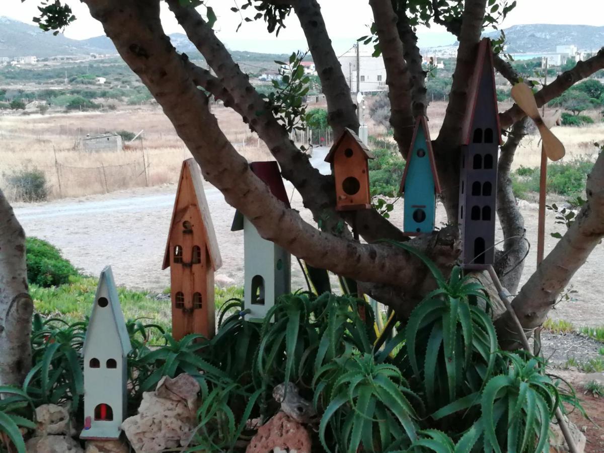 Domatia Me Thea Bed and Breakfast Ελαφόνησος Εξωτερικό φωτογραφία